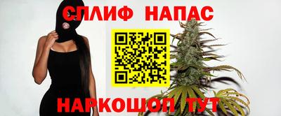 трава Кингисепп