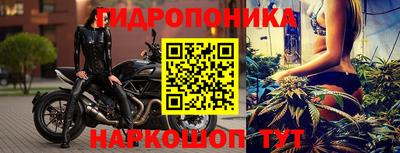 трава Кингисепп